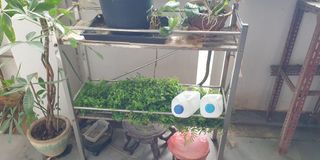 (Category: ) located in . Submitted by happynote (Listing ID 1245479302, Image 1). Description: .