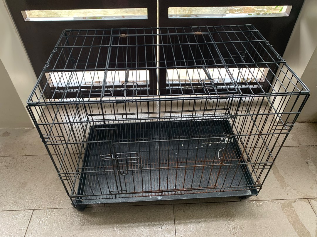 Used Collapsible Dog Cage (Size XXL W 18 x L 30 x H 24) on Carousell
