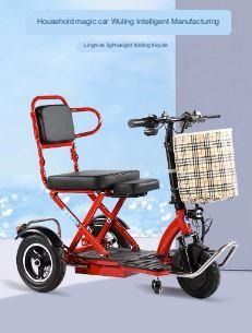 Ultra portable electric tricycle top