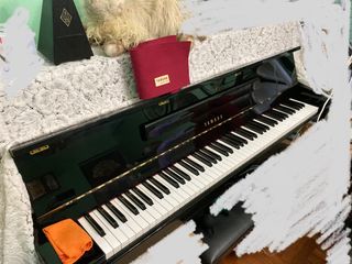 （分類：）位於 。 由 daiz_zy 提交（商品編號 1245493411，圖片 1）。簡介： 。