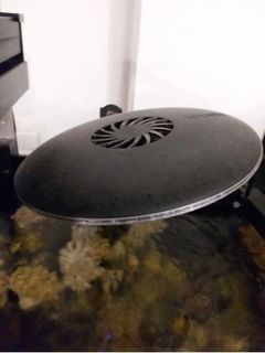 （分類：）位於 。 由 kit2628 提交（商品編號 1245421178，圖片 1）。簡介： 。