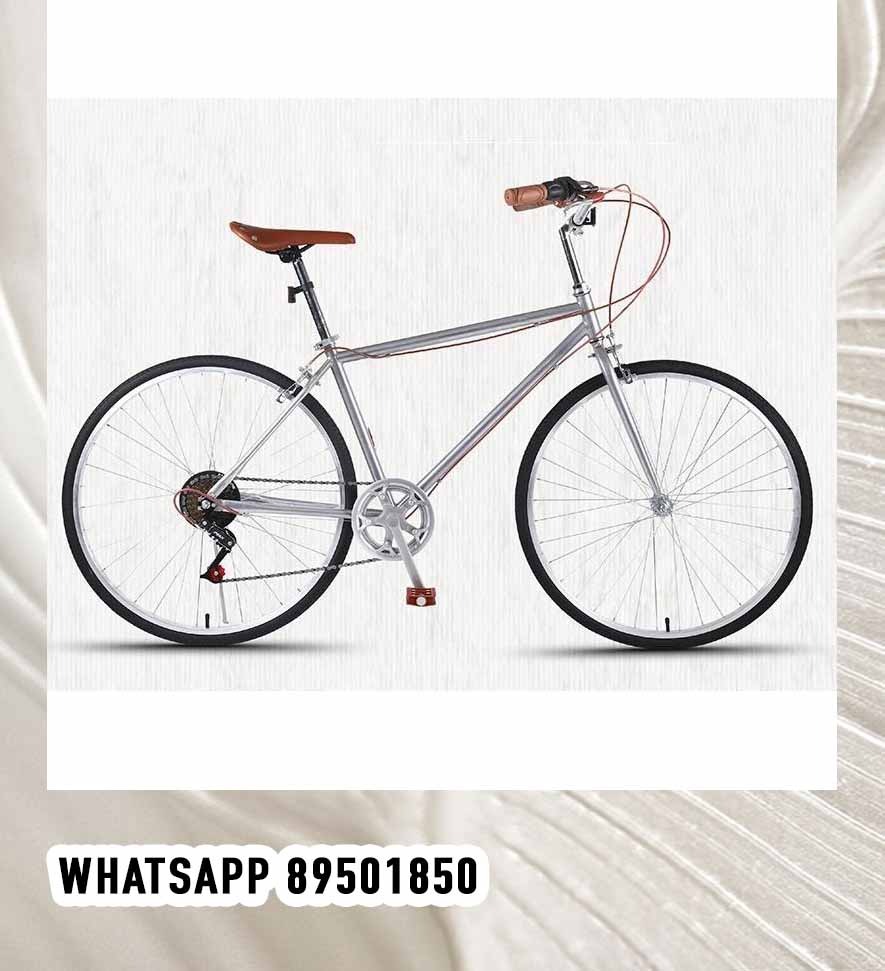 26 Inch 7 speed City Bike Silver Men Vintage Lady bike Road
