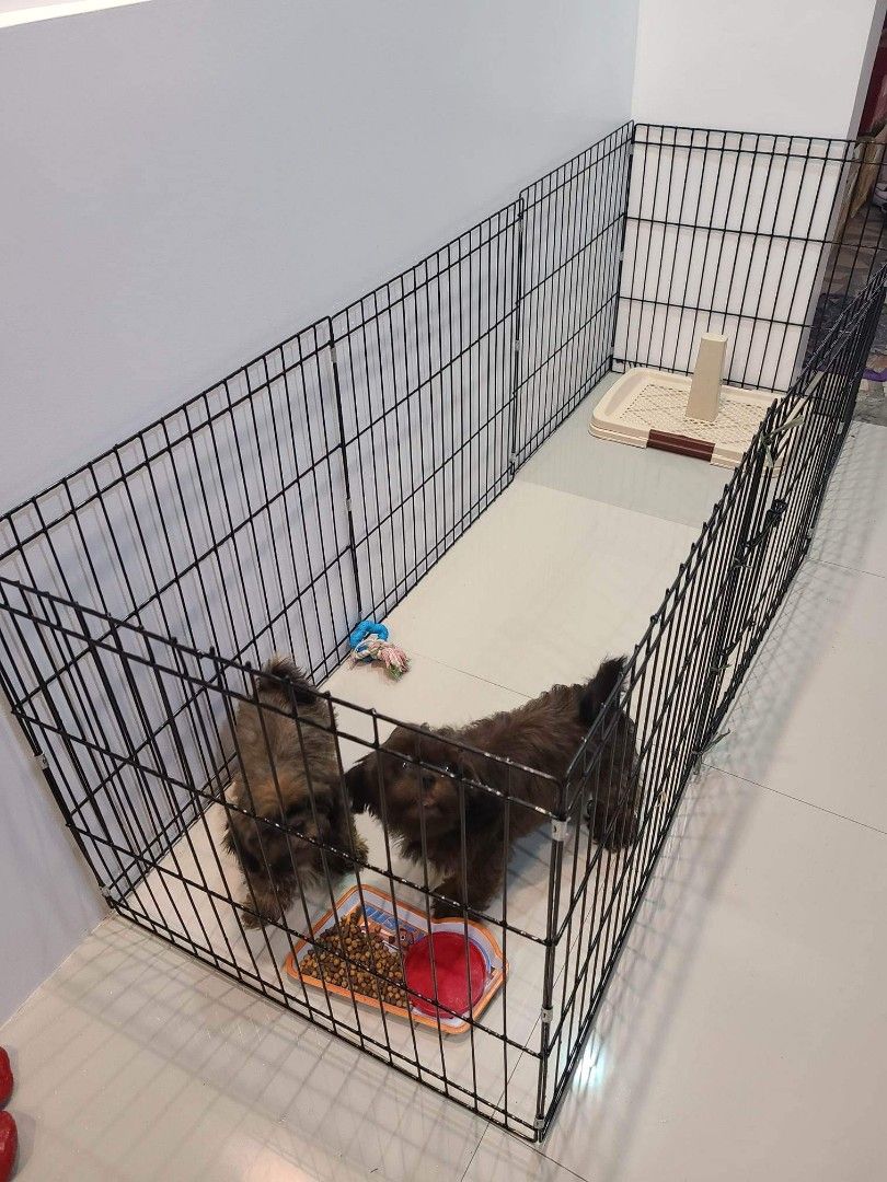 Canine playpen best sale