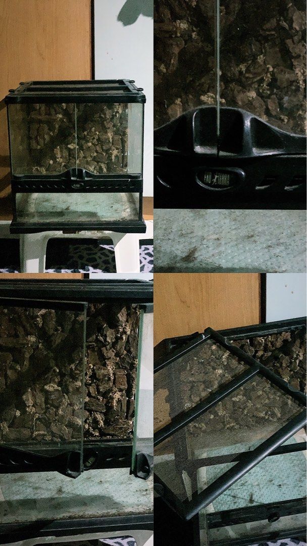 Exo Terra Tank, Pet Supplies, Homes & Other Pet Accessories on Carousell