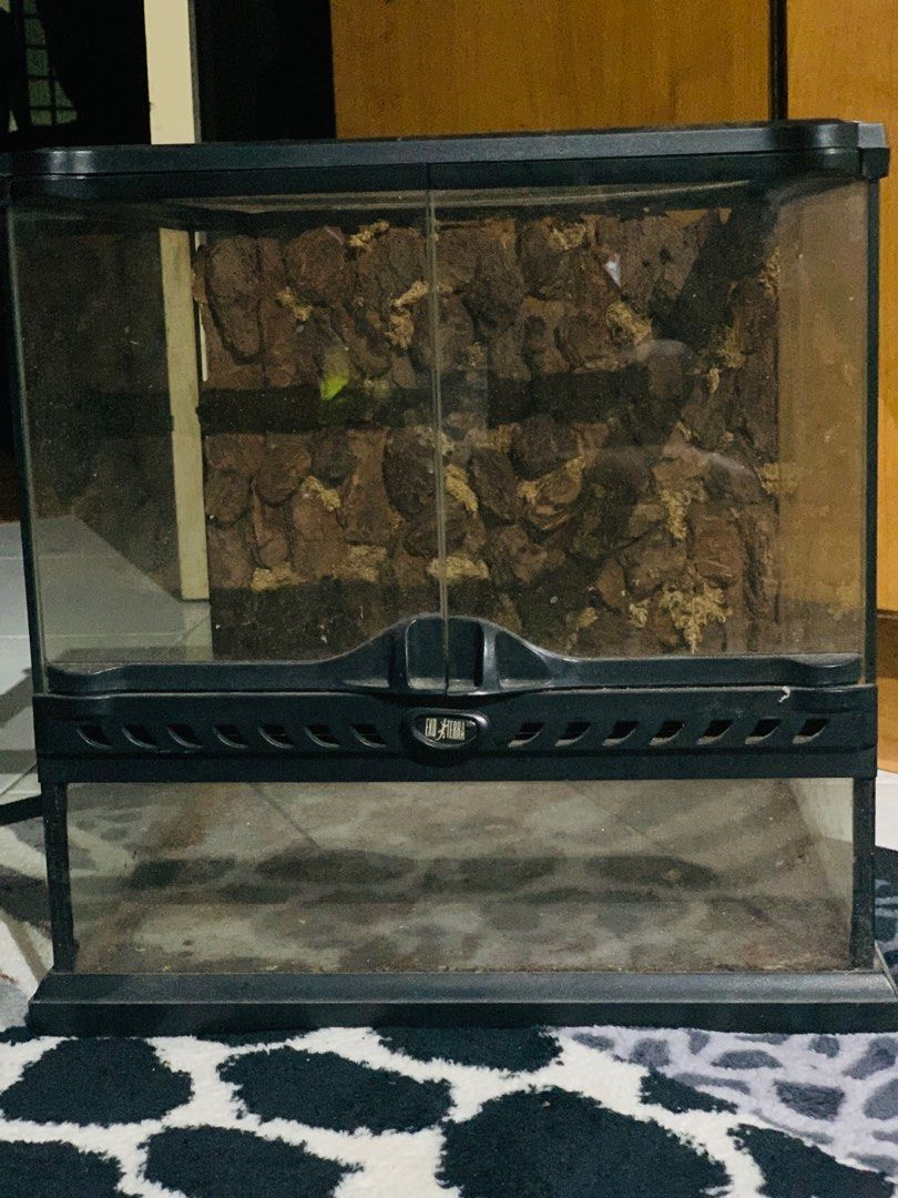 Exo Terra Tank, Pet Supplies, Homes & Other Pet Accessories on Carousell