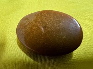 Fossil kunyit buruk