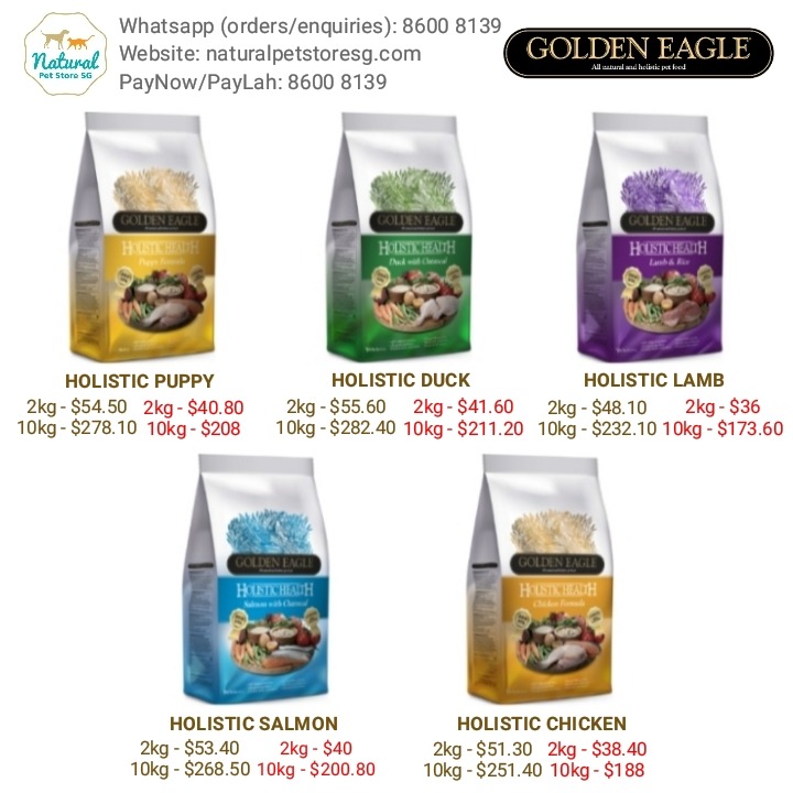 Golden eagle discount holistic puppy