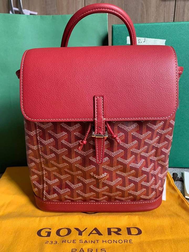 Goyard Alpin Mini Backpack, Luxury, Bags & Wallets on Carousell