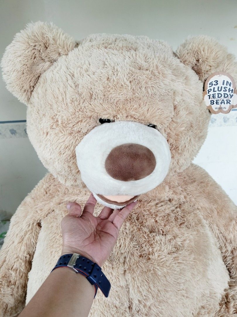 53 inch store teddy bear