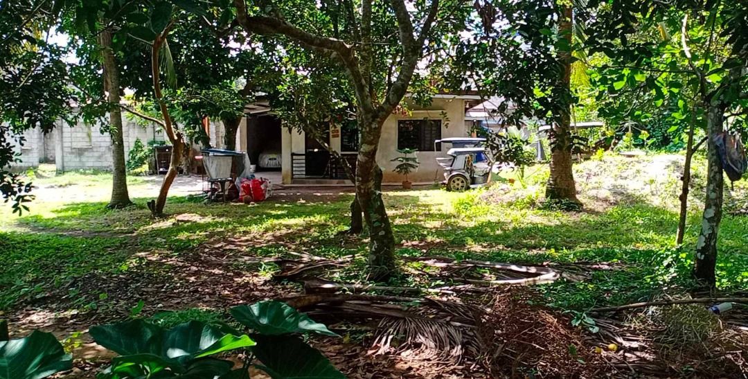 Lot for sale in indang. Along indang alfonso road, Property, For Sale