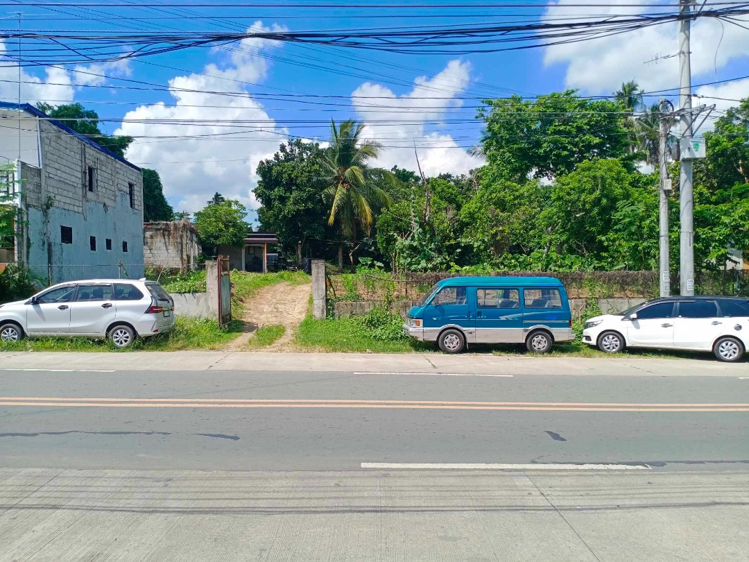 Lot for sale in indang. Along indang alfonso road, Property, For Sale