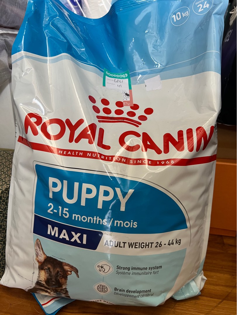 Royal canin maxi hotsell puppy 10 kg