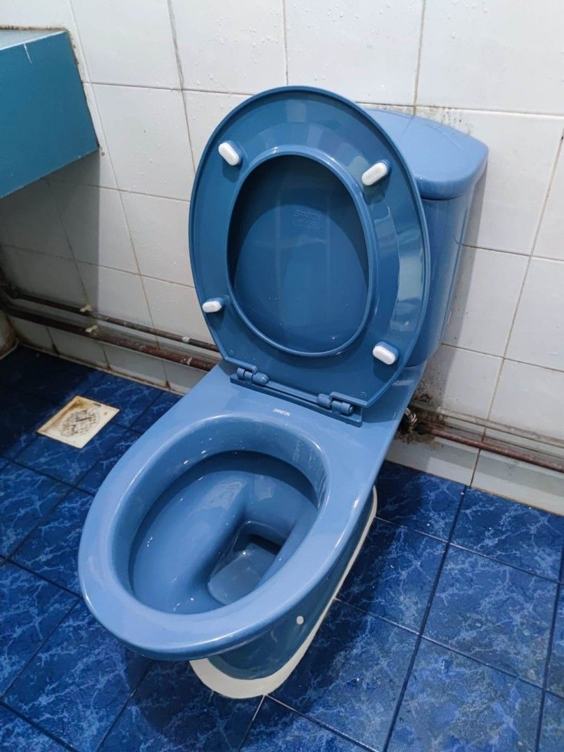 Saniton Colored Toilet Bowls, Furniture & Home Living, Bathroom