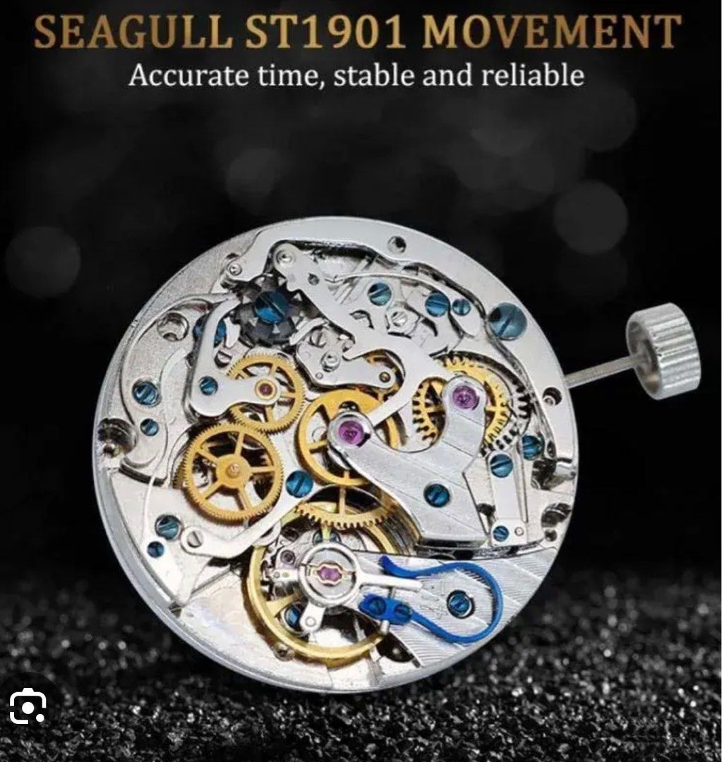 Seagull 1963 38mm Grey color Panda Acrylic Glass Pilot