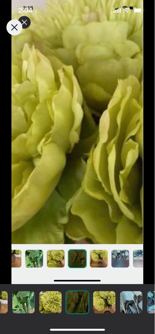 Silk flowers and eucalyptus stalks, Furniture & Home Living, Home Decor