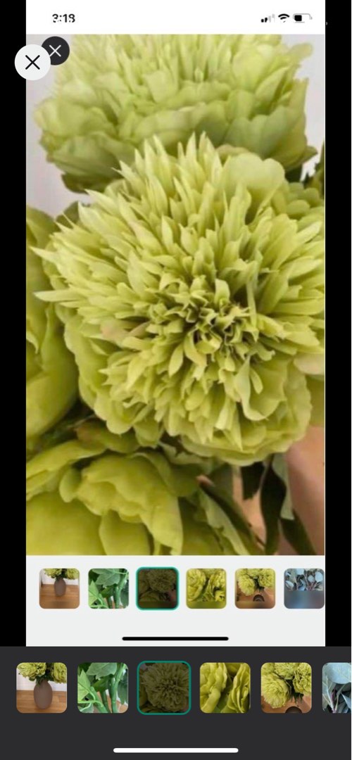 Silk flowers and eucalyptus stalks, Furniture & Home Living, Home Decor