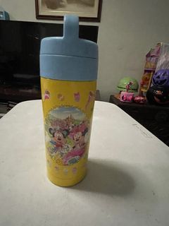 Tokyo Disneyland Water bottle stainless