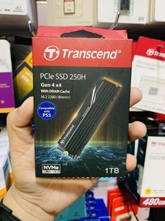 Transcend 1TB PCIe M.2 SSD 2280 250H (80mm) NVMe TS1TMTE250H