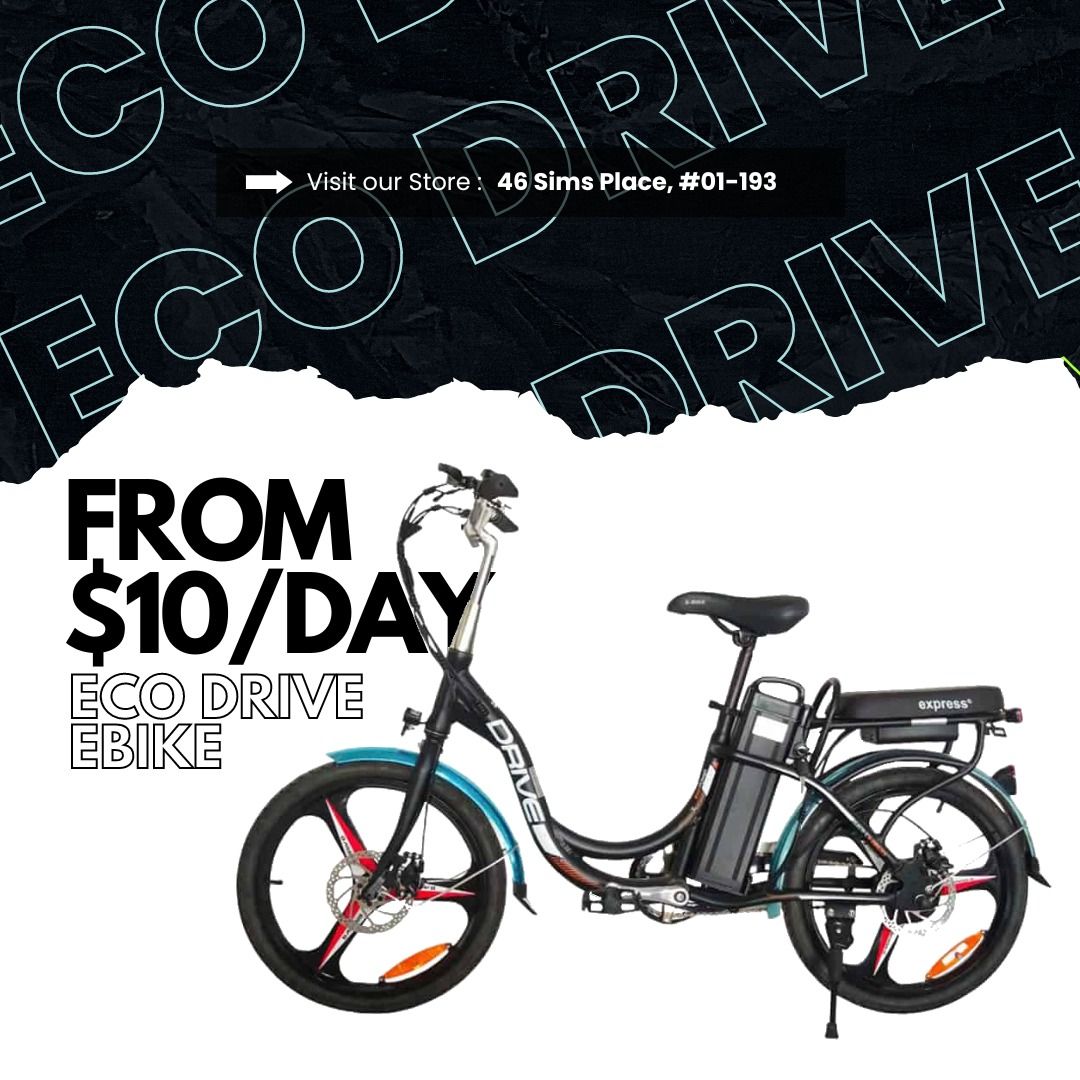 48V 2.0 Eco Drive Ebike Electric Bicycle with Accessories