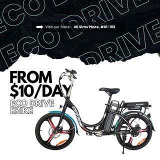 48V 2.0 Eco Drive Ebike Electric Bicycle with Accessories