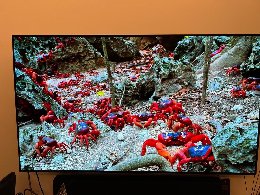 55 inch OLED TV Warranty until 30 Aug 2023 (by Harvey Norman), TV