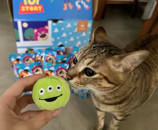 （分類：）位於 。 由 pidan_cat 提交（商品編號 1245843308，圖片 1）。簡介： 。