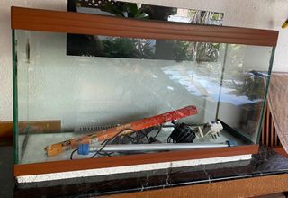 (Category: ) located in . Submitted by brendan_mfmf (Listing ID 1245812046, Image 1). Description: .