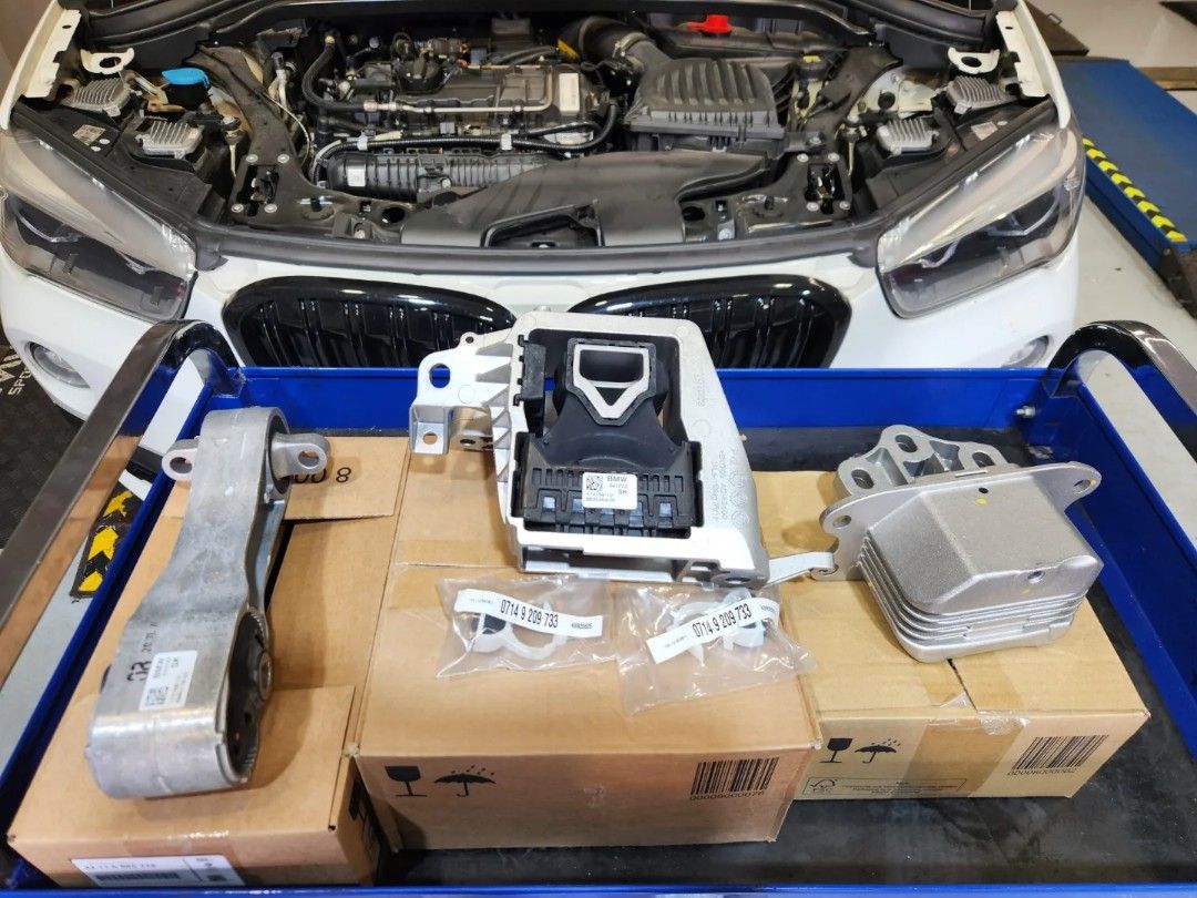 BMW F48 X1 Servicing Using Liqui Moly 5W40 Engine Oil, Oil Filter