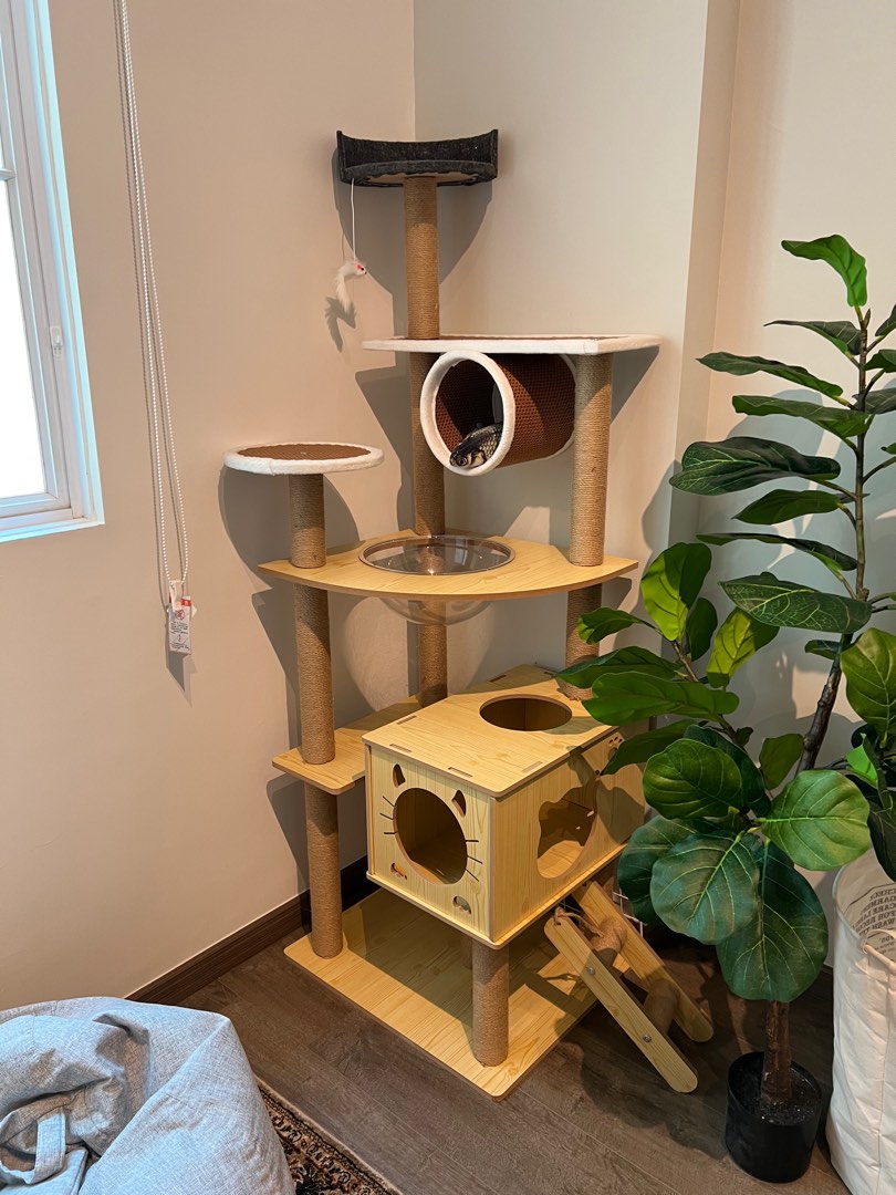 Cat Condo 1.68cm, Pet Supplies, Homes & Other Pet Accessories on Carousell