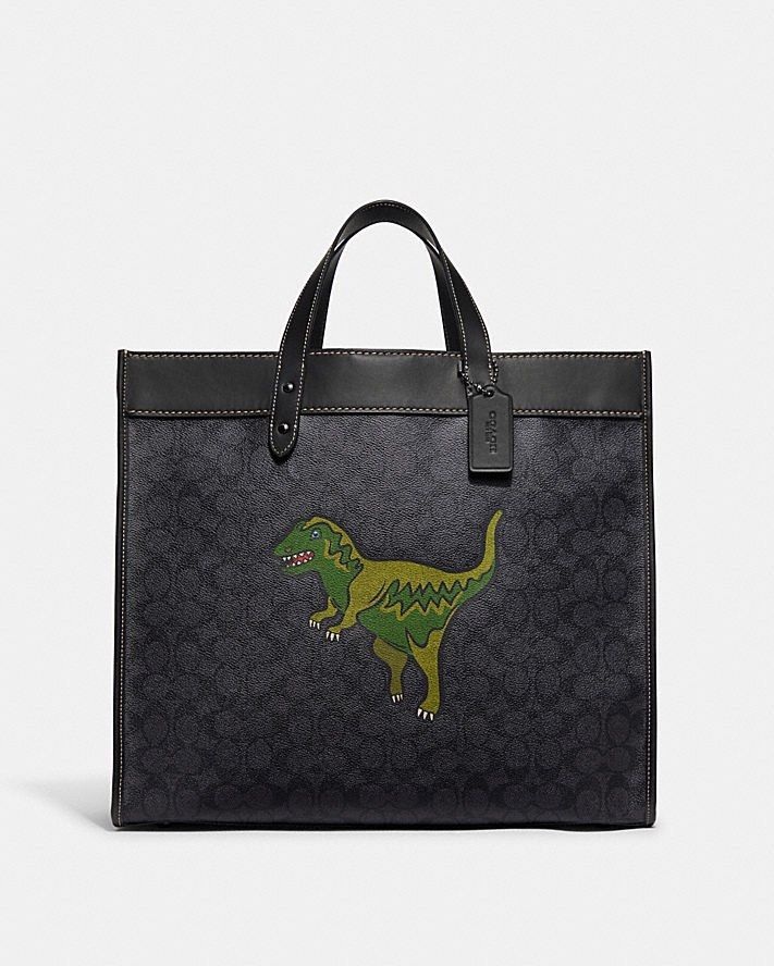 Coach tote dinosaur clearance