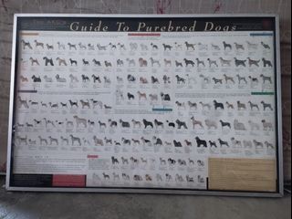 Framed Guide to Purebred Dogs