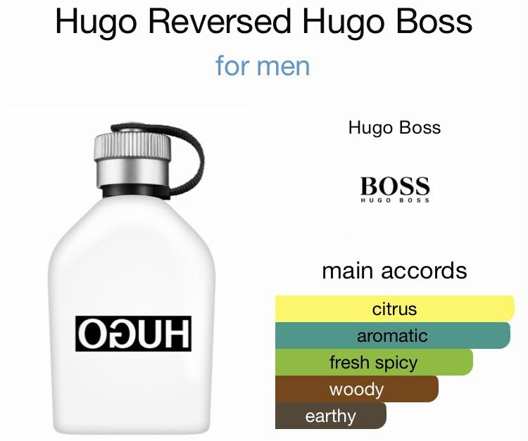 Hugo reversed hugo boss top