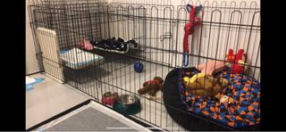 (Category: ) located in . Submitted by ramguy (Listing ID 1245826645, Image 1). Description: .
