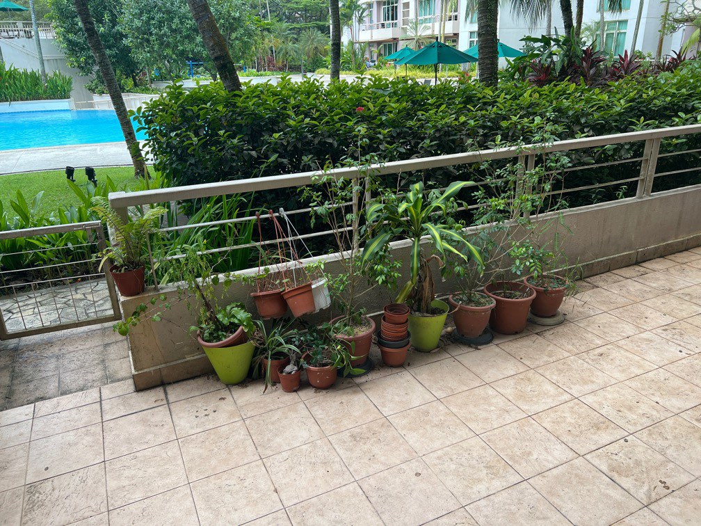 Potted plants, Furniture & Home Living, Gardening, Pots & Planters on