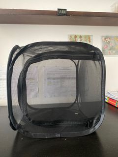 Affordable insect cage For Sale  Homes & Other Pet Accessories