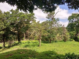 Affordable Farm lot for sale, perfect lot to build your retirement home