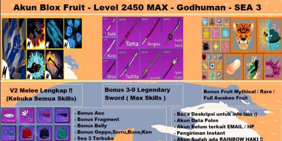 Blox Fruit Account Lv:2450Max, Awaken Dark, GodHuman