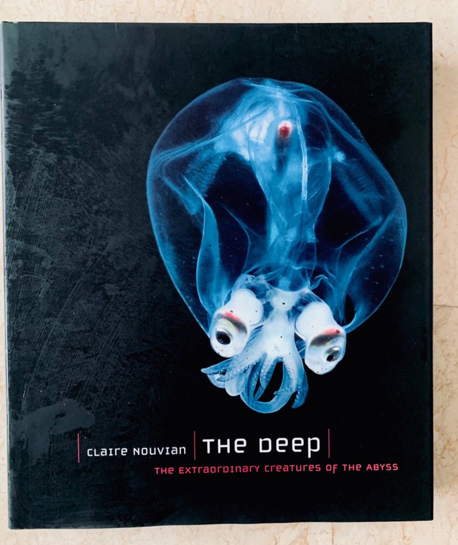 Book coffee table hardcover The Deep, Hobbies & Toys, Books
