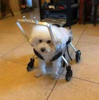 (Category: ) located in . Submitted by shoppingqueen520 (Listing ID 1240852707, Image 1). Description: .