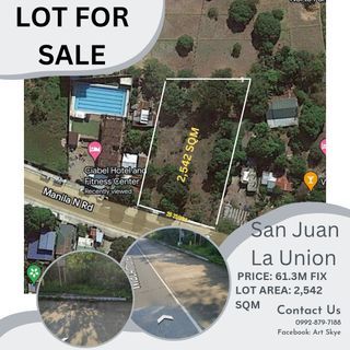 Elyu San Juan Lot For Sale