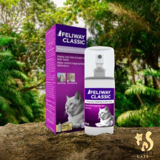 Cheap feliway 2025