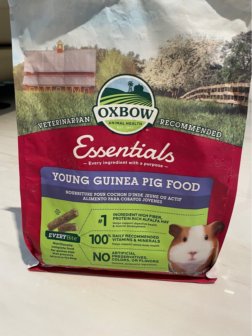 Oxbow young guinea pig food on sale