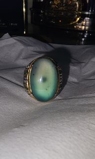 (Category: ) located in . Submitted by betta85 (Listing ID 1240846407, Image 1). Description: .