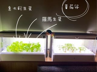 （分類：）位於 。 由 li17131 提交（商品編號 1240814408，圖片 1）。簡介： 。