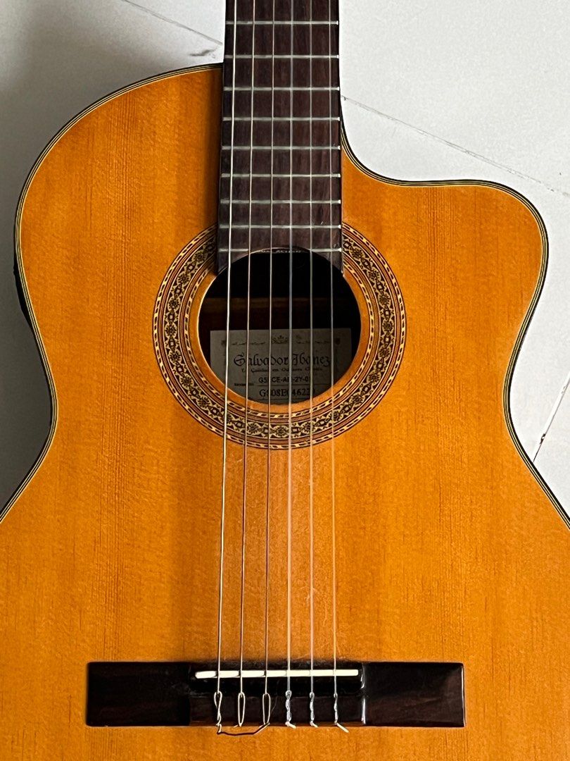 Ibanez acoustic guitar, Hobbies & Toys, Music & Media, Musical