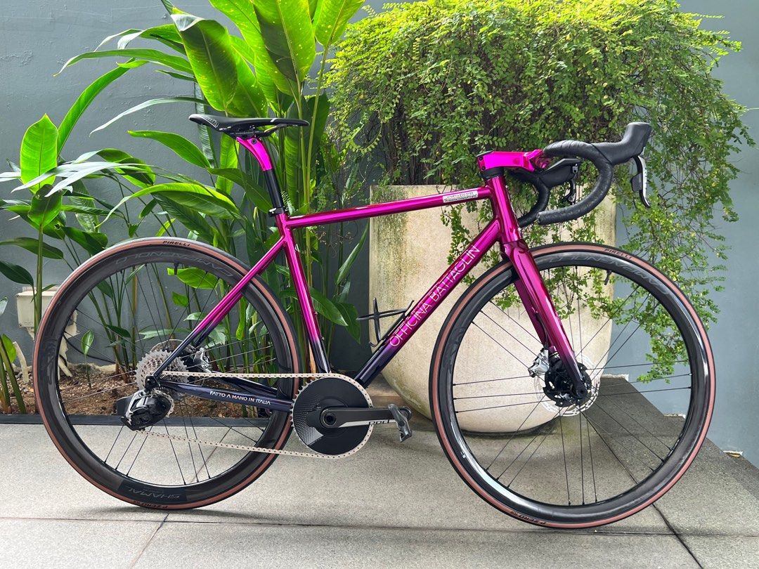 Officina Battaglin Power+Evo of 2022, Sports Equipment