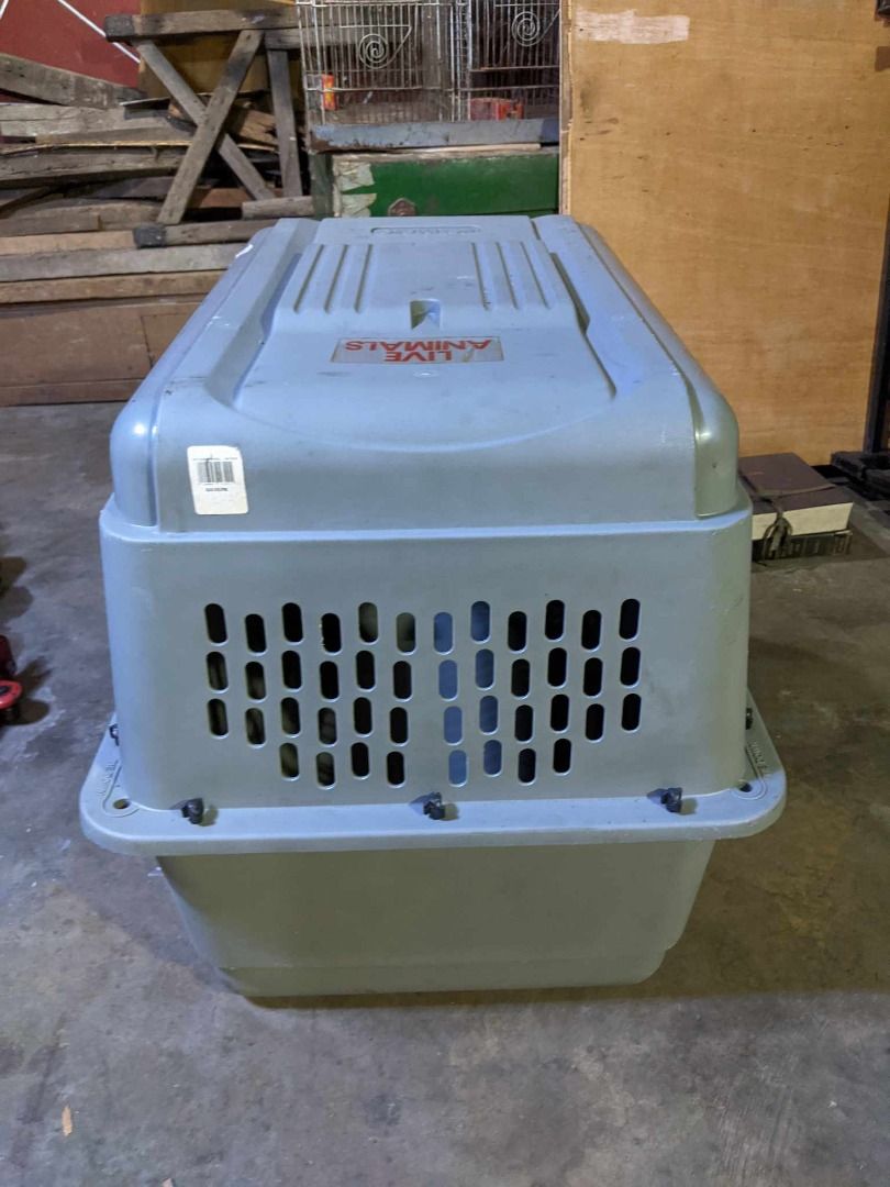Petmate Sky Kennel, Pet Supplies, Homes & Other Pet Accessories on