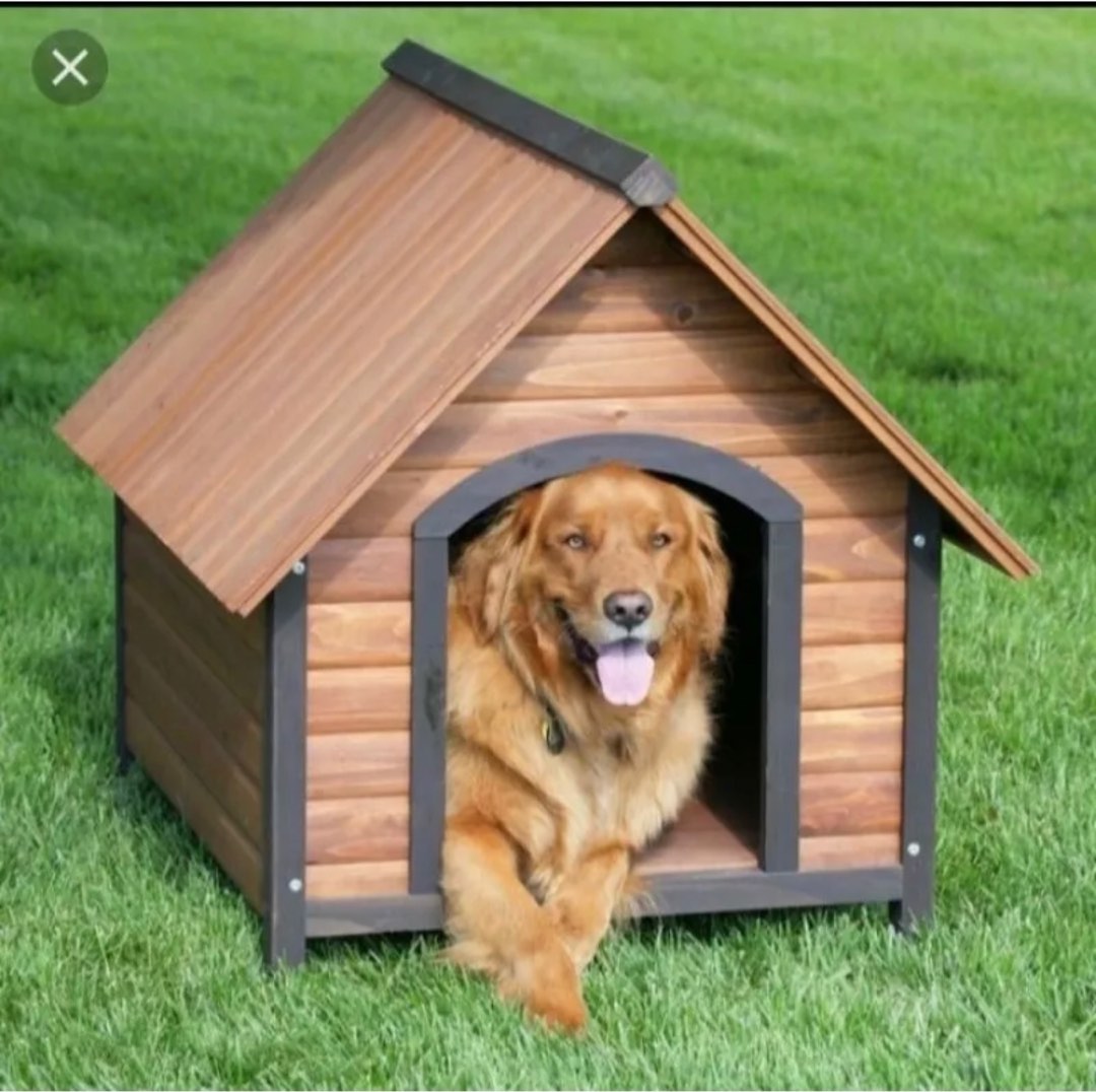 Rumah Dog/Kucing - Rumah Anjing - Rumah kucing. Murah Bagus on Carousell