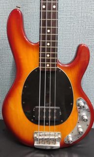 Sterling by MusicMan Ray34 Electric Bass NOT Fender Gibson Ibanez Warwick Sire