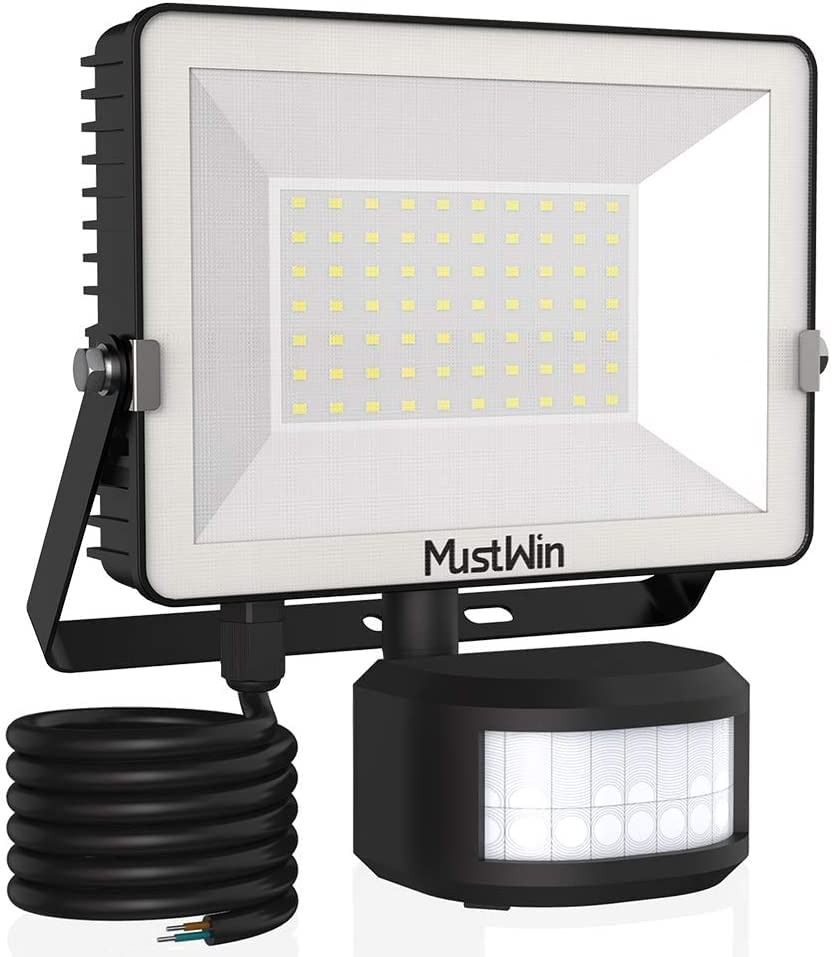 floodlights with motion sensor and camera
